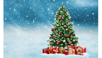 19.12.17 Привітання з Новим роком та Різдвом